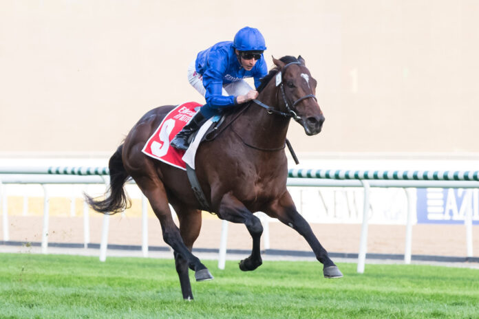 Blue Point Foto: Dubai Racing Club Blue Point Foto: Dubai Racing Club