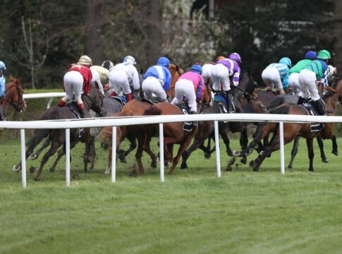 Grüne Saison - Gras-Ausschreibungen sind da bis Ende April