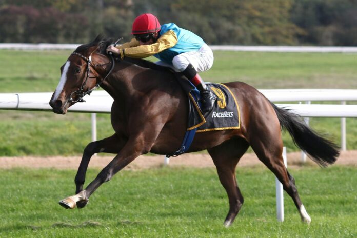 Naila siegt unter Andrasch Starke