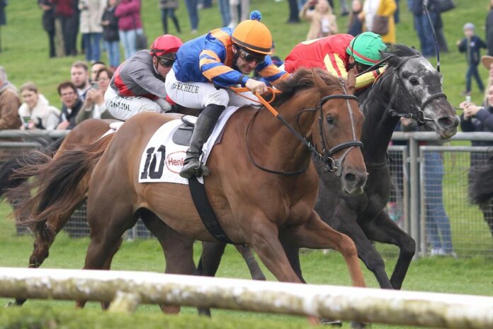 Lion Hunter siegt unter Maxim Pecheur Rennpferd Lion Hunter und Jockey Maxim Pecheur
