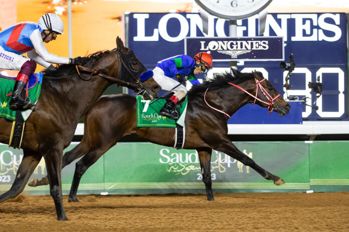 Panthalassa Foto: Jockey Club of Saudi Arabia/Erika Rasmussen