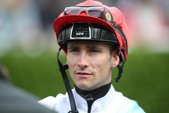 Rene Piechulek Rene Piechulek