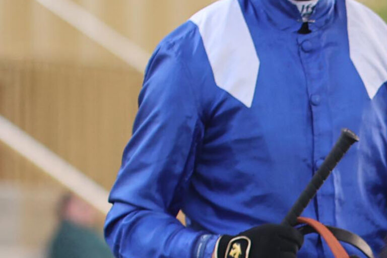 Shadwell gibt Verlust von First Season Sire Eqtidaar bekannt Shadwell gibt Verlust von First Season Sire Eqtidaar bekannt