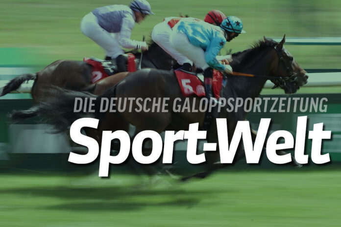 Sport-Welt-Image-3-1