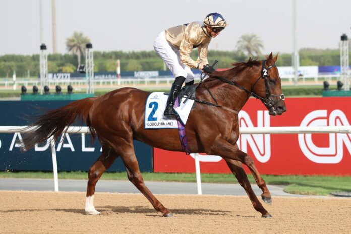 Algiers Foto: Sorge Algiers Foto: Sorge