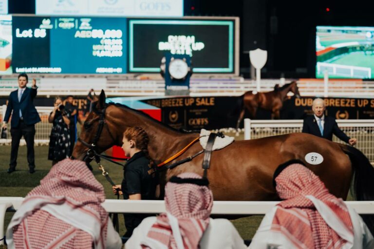 Zufriedenstellendes Ergebnis der Dubai Sale Zufriedenstellendes Ergebnis der Dubai Sale