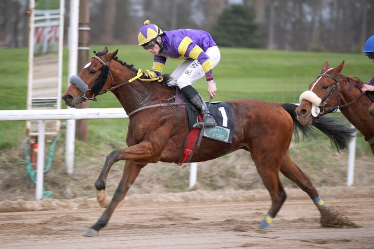 Sechs Galopprennen am Samstag in Zweibrücken