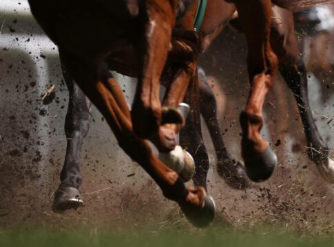 Bahrain investiert weiter in den Galoppsport Galopp Impression