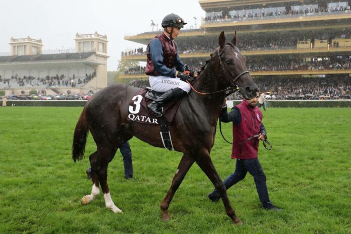 mare_australis_murzabayev