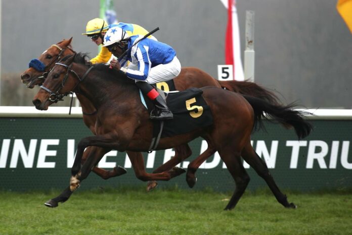 View Zabeel (Archiv)