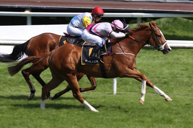 Programmänderung für Samstag in Dresden