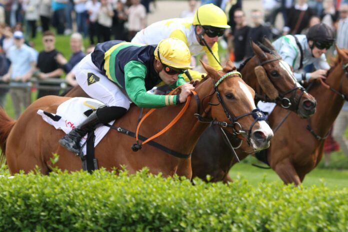 Muskoka siegt unter Lukas Delozier im Henkel-Stutenpreis