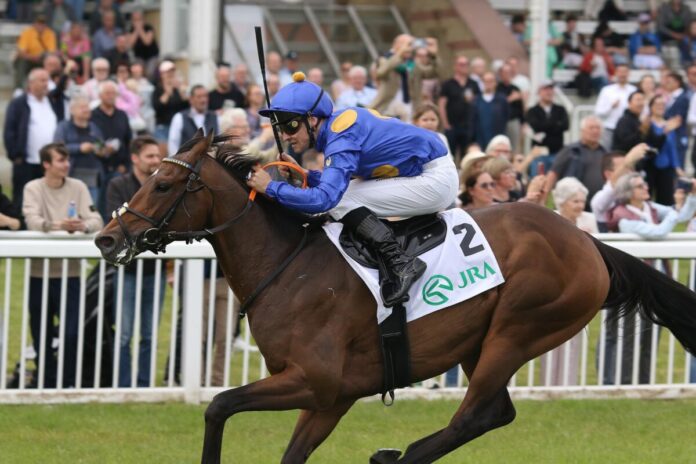 Fantastic Moon siegt unter Rene Piechulek im Japan Racing Association Derby-Trial