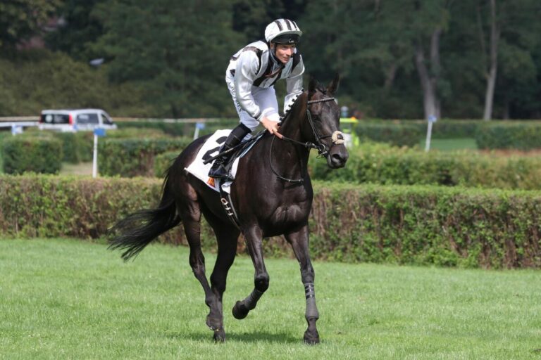 Mäders North Hunter siegt in Angers