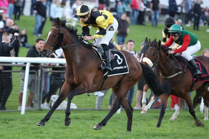 Oriental Princess (Archiv) Oriental Princess (Archiv)