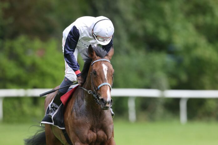 Lady Ewelina siegt unter Eduardo Pedroza im Karin Baronin von Ullmann - Schwarzgold-Rennen, Gr.3