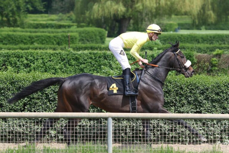 Weitere Derby-Streichungen