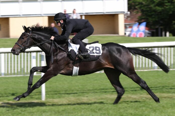 Meer bei der Breeze Up in Iffezheim