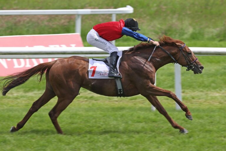 Northern Ruler