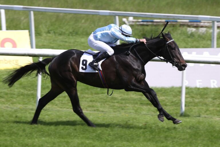 „Großes Baby“ Romano trotzt dem Rennverlauf