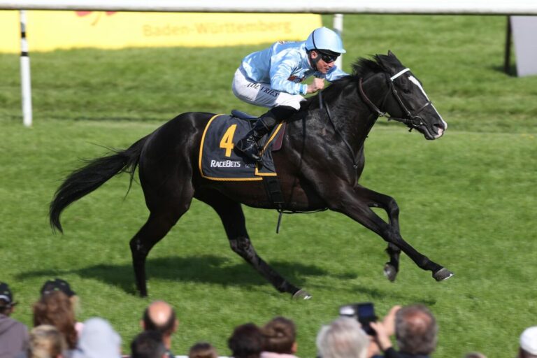 Endlich Shaikan beim 14. Start: „Der Jockey hat nur geflachst“