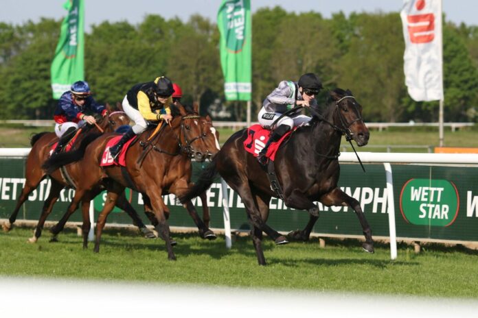 Weracruz siegt unter Leon Wolff im Grosser Preis der Sparkasse Hannover, L. Weracruz