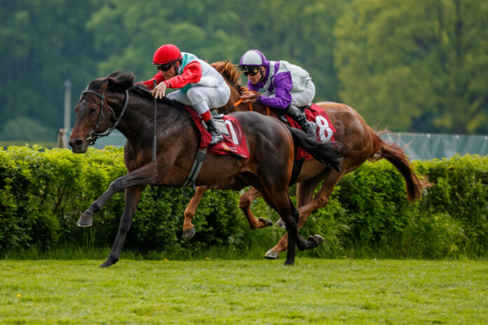 Aff un zo siegt unter Andrasch Starke Aff un zo siegt unter Andrasch Starke