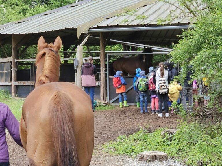 Der Kindergarten zu Gast im Rennstall