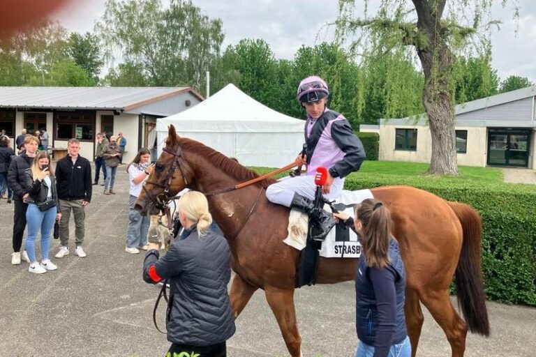 22,3:1! Wahiba Sands fliegt in Straßburg zum Sieg 22,3:1! Wahiba Sands fliegt in Straßburg zum Sieg