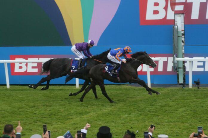 Auguste Rodin (Archiv)