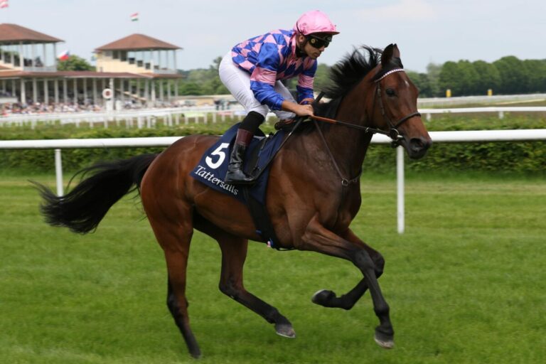 Am Freitag in Düsseldorf: Diana Trial auf dem Diana-Kurs