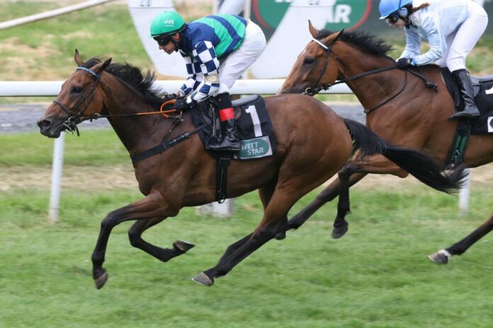 Big Ben Harbour siegt unter Andrasch Starke