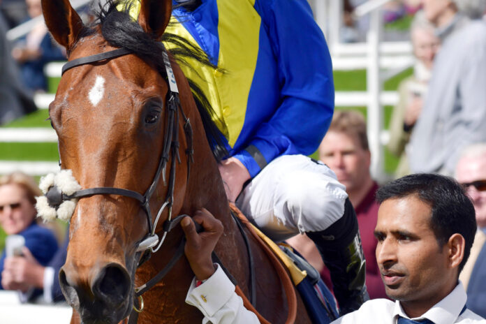 Desert Crown Foto: Sorge Desert Crown Foto: Sorge