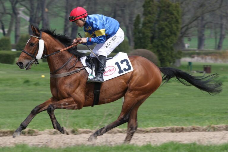 Zerostress ohne Chance in Deauville-Listenrennen