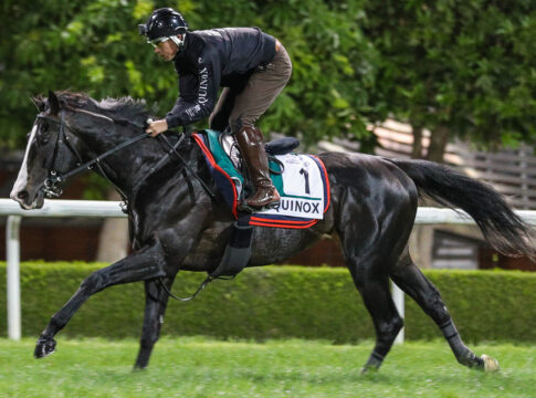 Equinox (Archiv) Foto: dubairacingclub.com