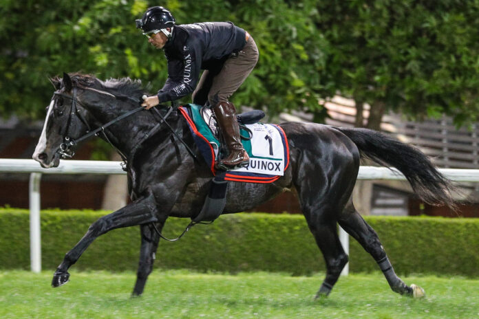 Equinox (Archiv) Foto: dubairacingclub.com