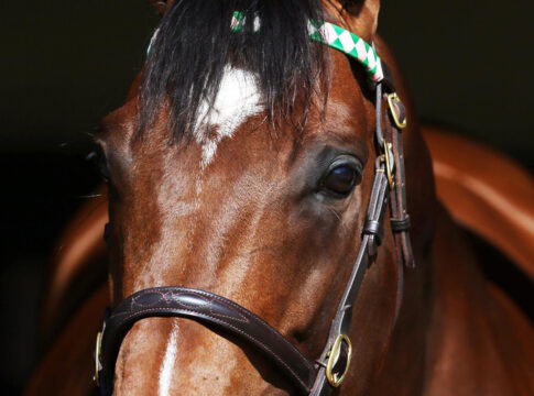 Frankel
