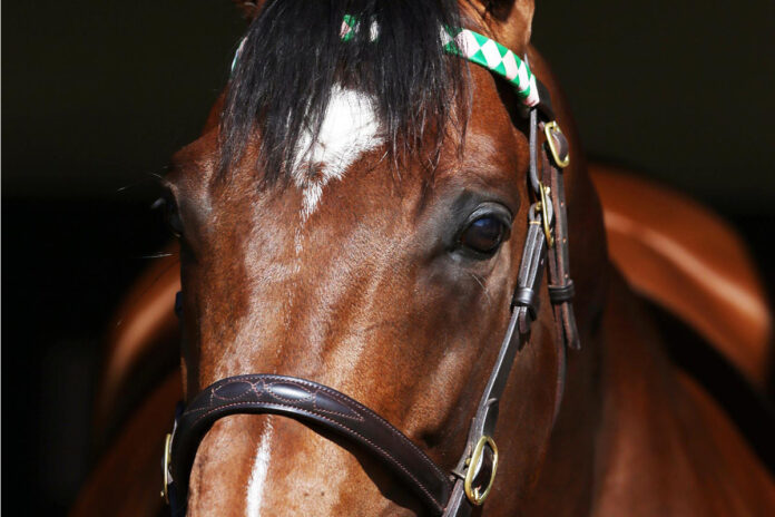 Frankel