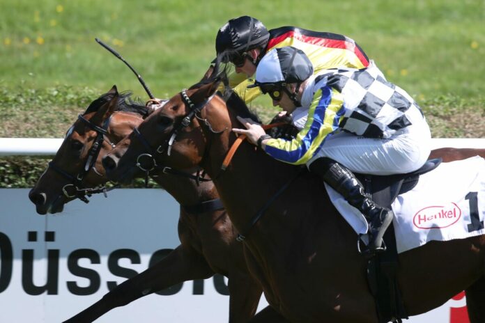 Global Queen siegt unter Sean Byrne
