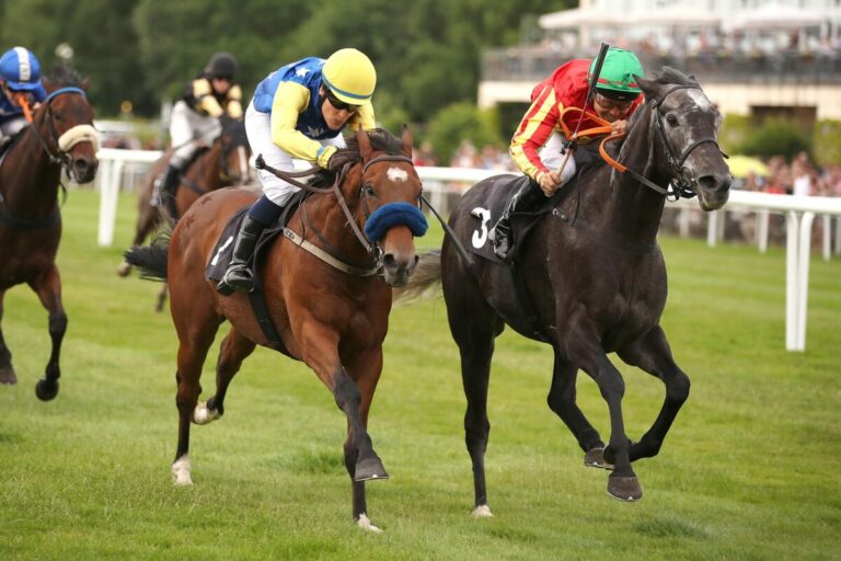 Grey Sparkle (re.) gewinnt gegen Repute