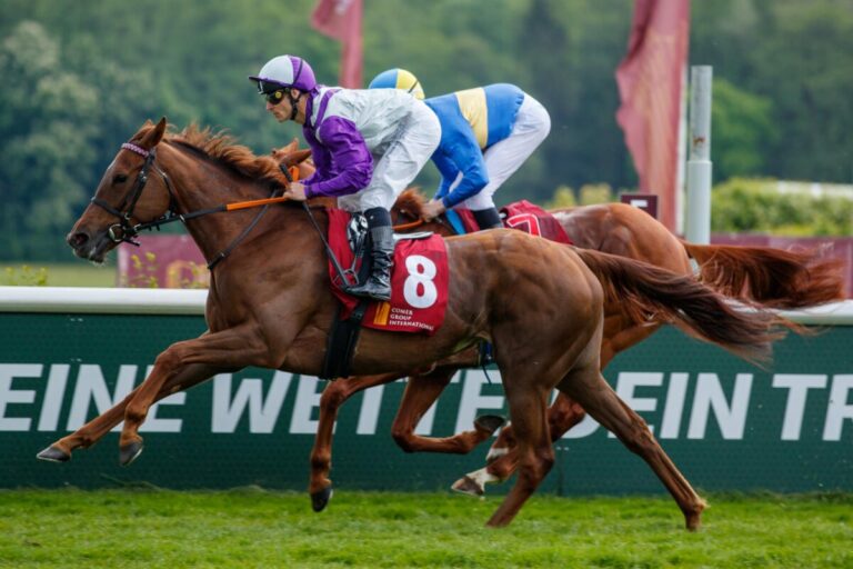 Nachtrose am Samstag in Haydock in den Lester Piggott Stakes