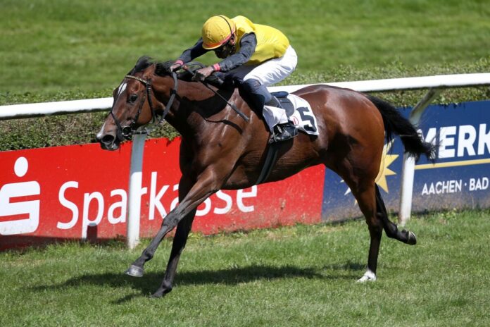 Habana bei ihrem Guineas-Sieg Habana bei ihrem Guineas-Sieg