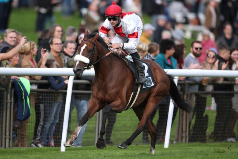 India siegt unter Rene Piechulek in der WALDPFAD-Trophy