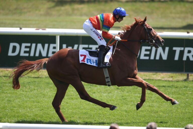 Die nächste Derby-Streichung – Nedorostek nicht im Derby dabei