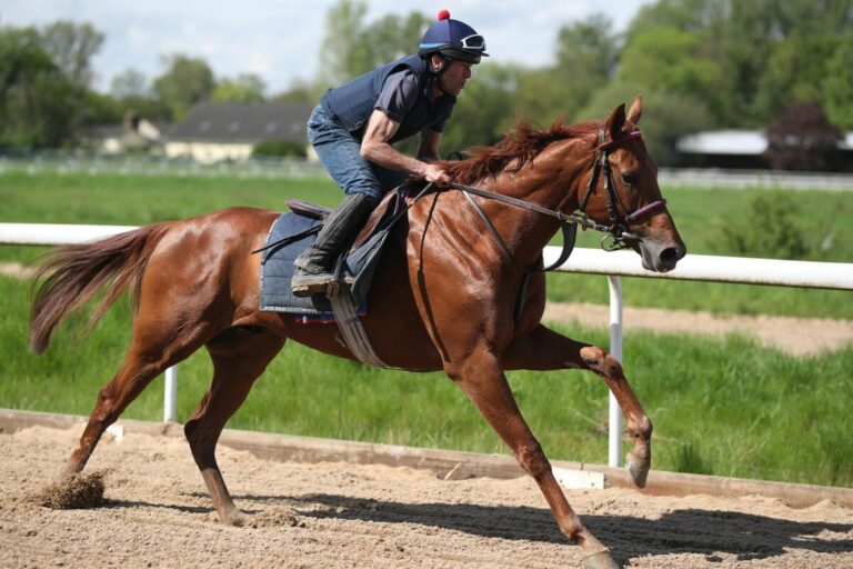 Coronation Cup: Geld auf Tünnes unterwegs