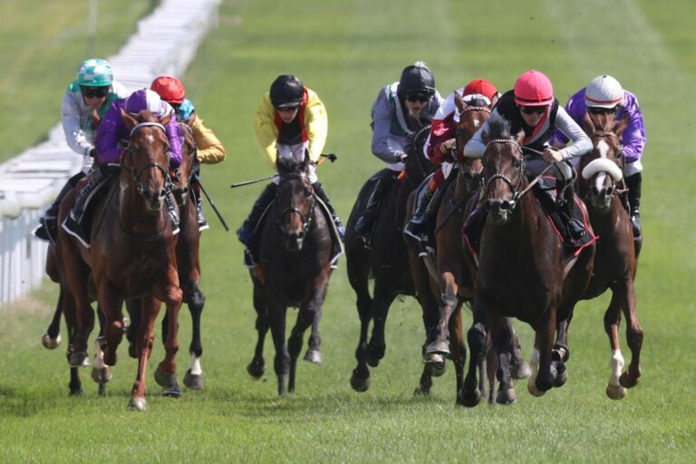 Straight ist der neue Favorit für das Deutsche Derby