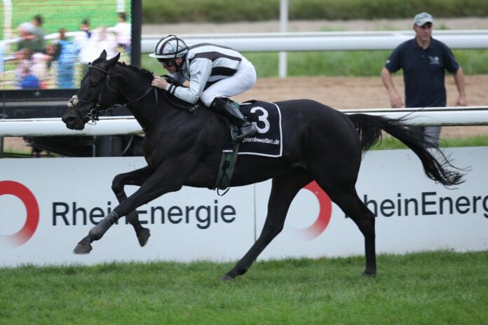 North Hunter siegt unter Jozef Bojko