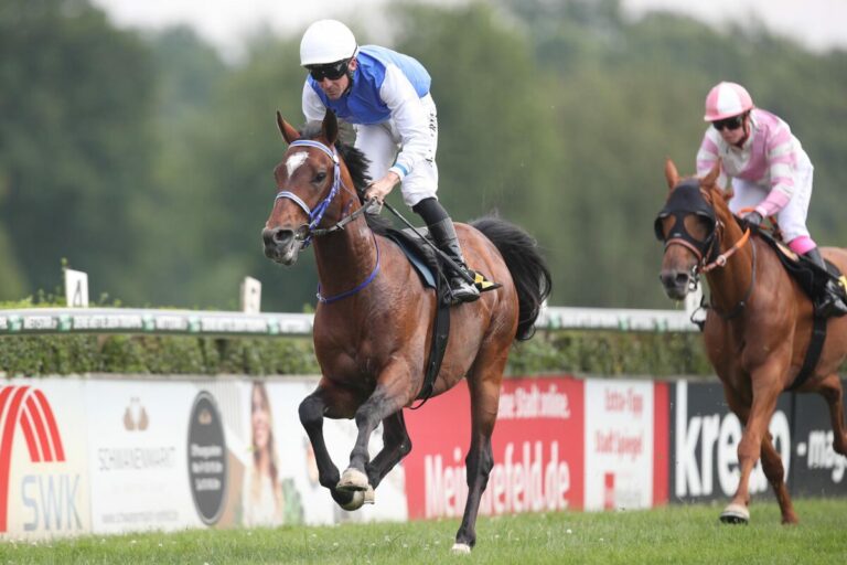 „Araber-Experte“ de Vries gewinnt mit Freddy Py