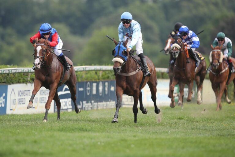 Blueridge Silver sorgt für ersten Stadtwald-Heimsieg