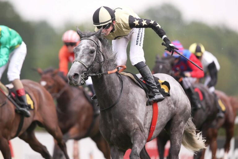 Aradous legt für Mario Hofer nach